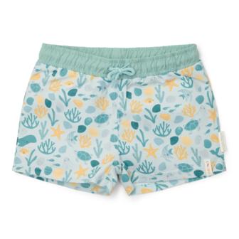 Zwemshort Seashells Multi-colour 