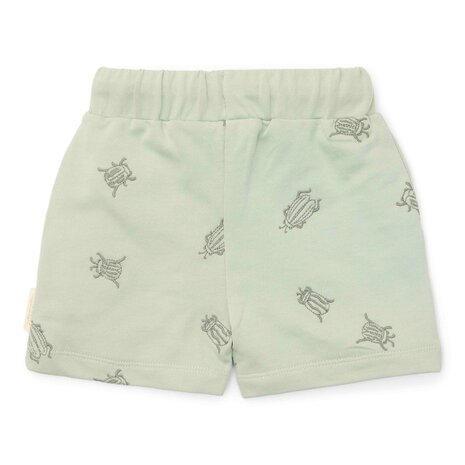 Korte broek Forest Mint Bugs 