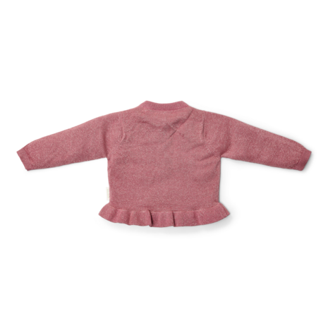 Gebreid vest Rouge fairy