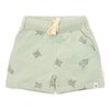 Korte broek Forest Mint Bugs 