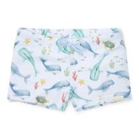 Zwembroek Ocean Multi-colour