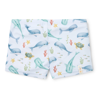 Zwembroek Ocean Multi-colour