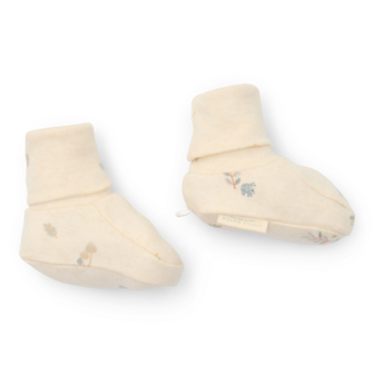 Slofjes Forest Nature 