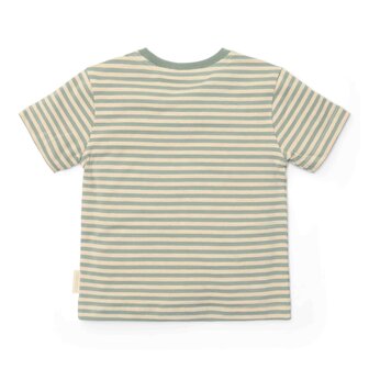 T-shirt korte mouw Forest Green Stripe 