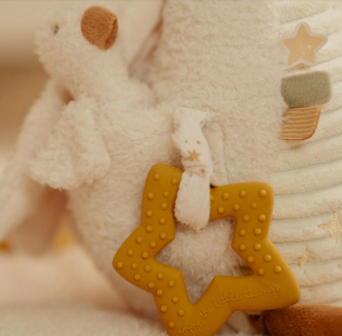 Activiteitenknuffel Little Goose GRS