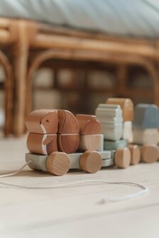 Blokkentrein Eekhoorn