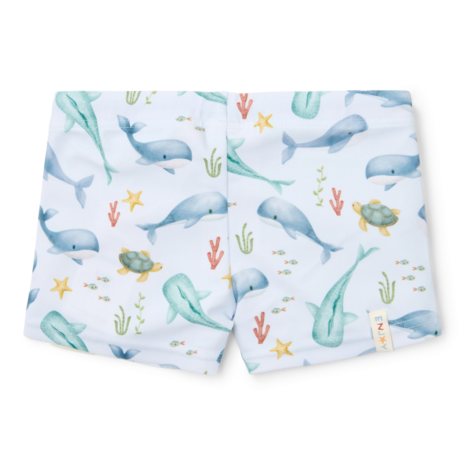 Zwembroek Ocean Multi-colour