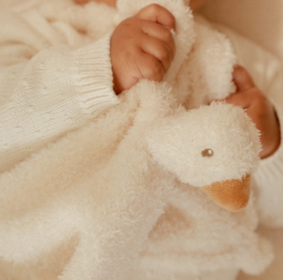 Knuffeldoekje Little Goose